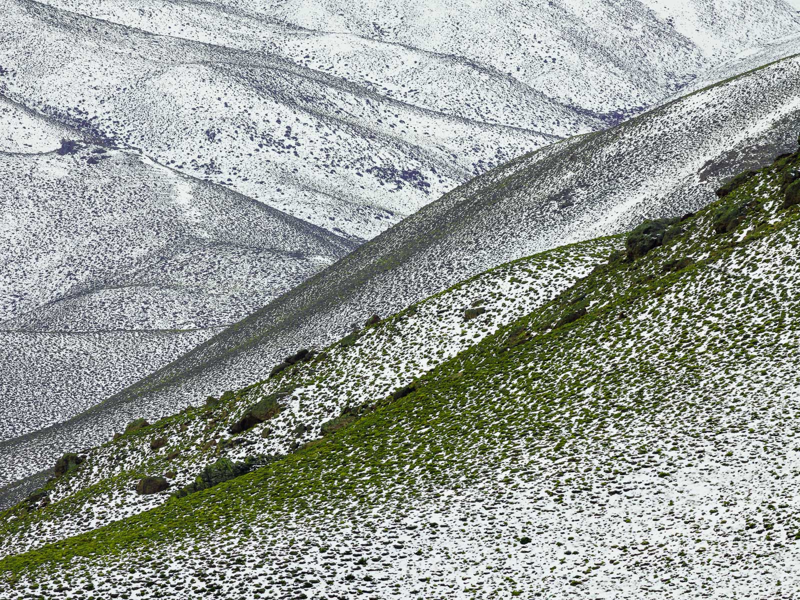 paisaje-nevado-en-la-estepa