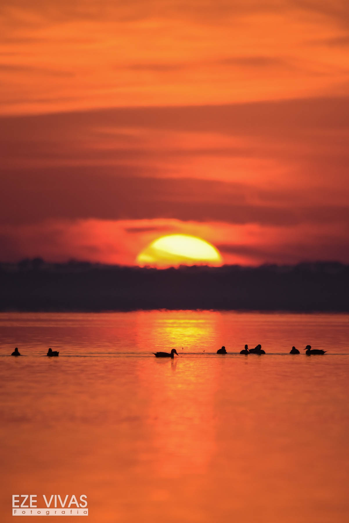 amanecer-laguna-del-plata