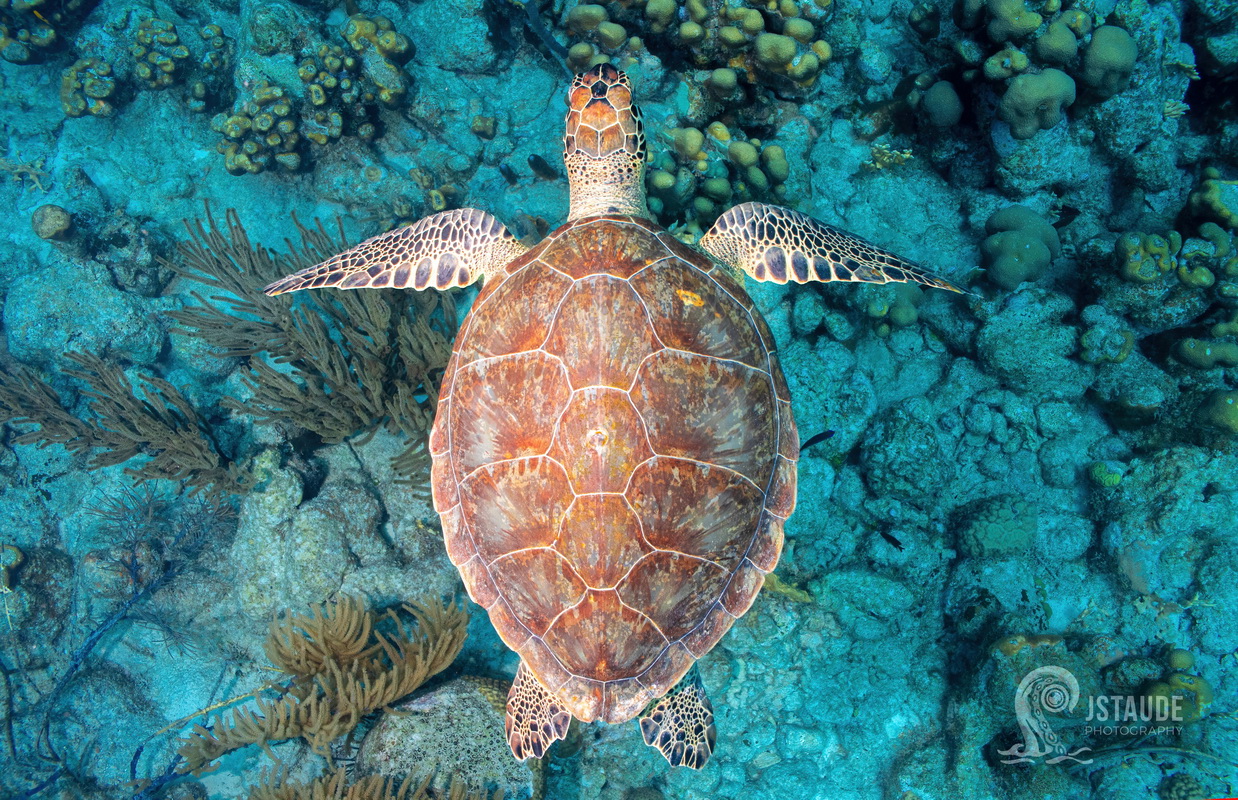 img_1103-signed_resize